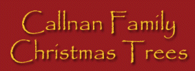 Callnan Family christmas Trees Logo