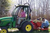 Planting Seedlings (Click for larger version)