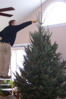 Trimming the tree